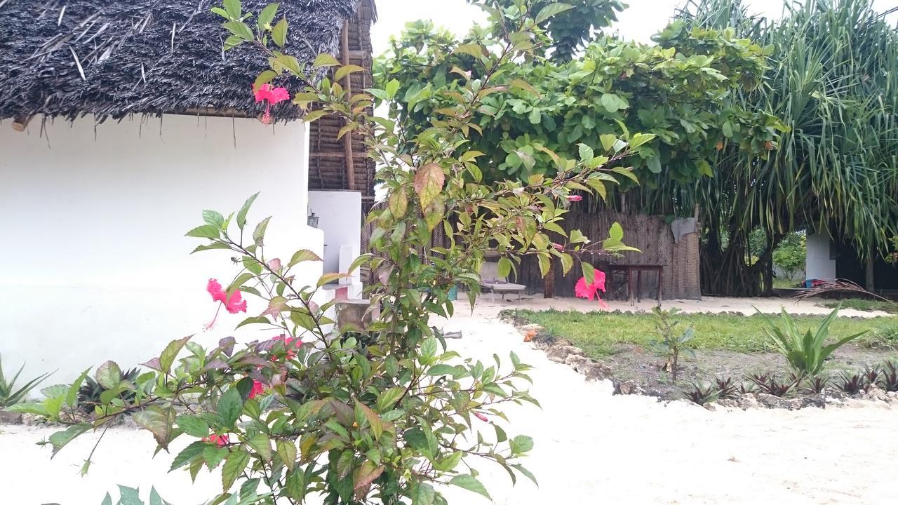 Bed & Breakfast Kaskazi Beach *