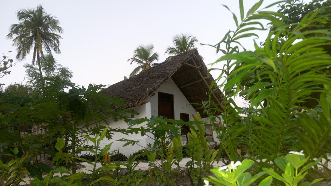 Kaskazi Beach Nungwi