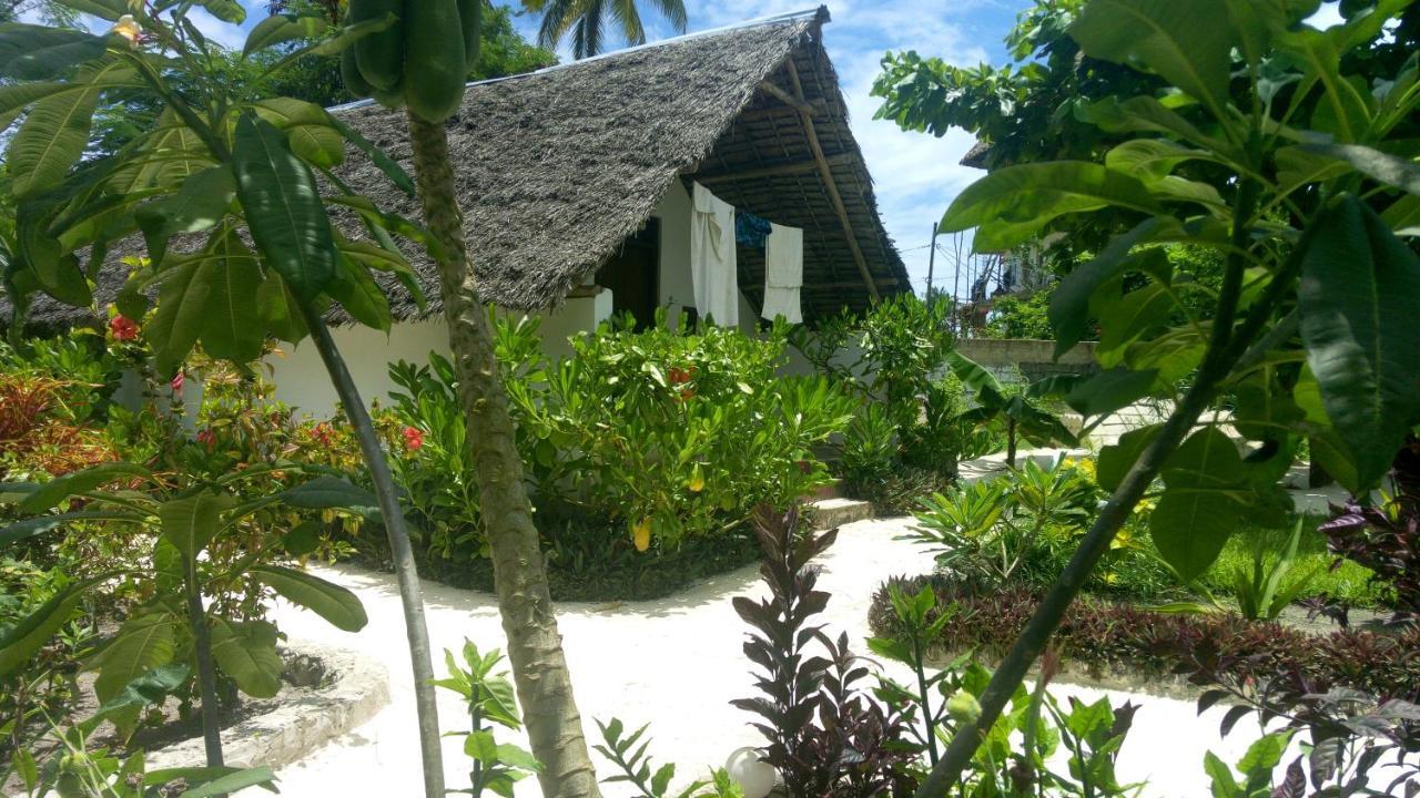 Bed & Breakfast Kaskazi Beach Nungwi